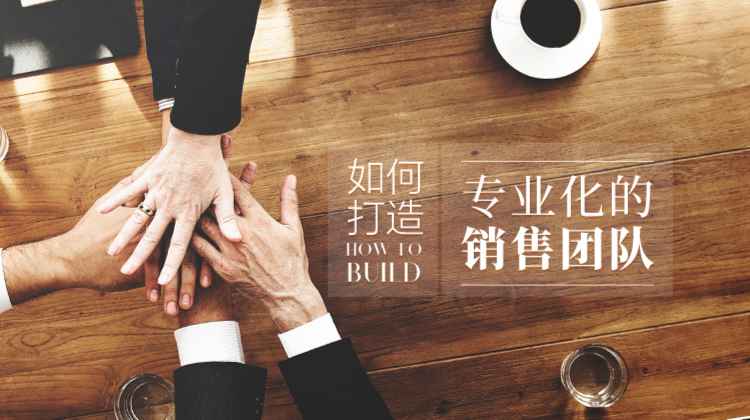 如何打造专业化的销售团队